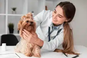 veterinary